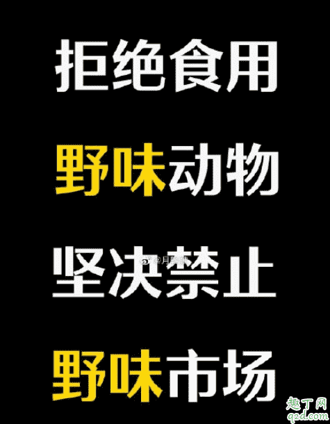 野生動物有多少病毒 野生動物如何引發疫情12