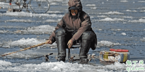 冬季4米水深怎么釣魚 打窩碎米好還是大米好3