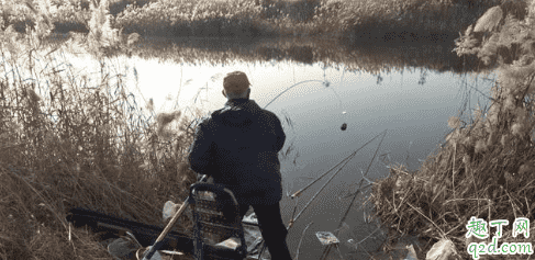 釣鯉魚玉米粒怎么泡制 水融袋打窩怎么下沉3