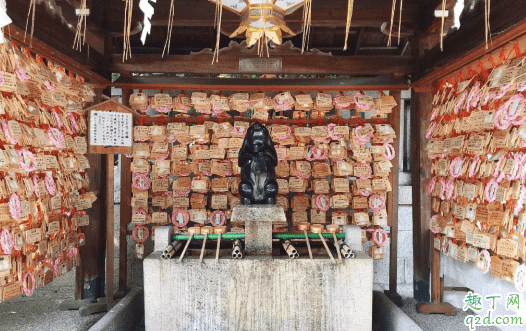 京都兔子神社可以求子嗎 岡崎神社兔子帶回去嗎5