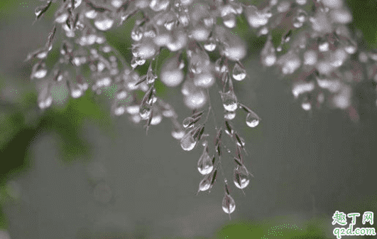 2021年寒露是農歷什么時間 寒露下雨好還是不下雨好4