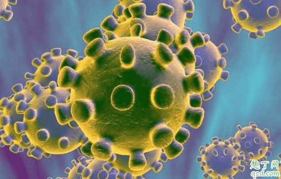 新型冠狀病毒治愈后還會感染嗎 新型肺炎治好后怎么防止二次感染1