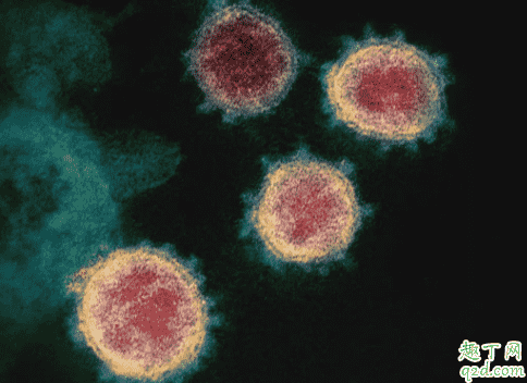 新冠肺炎與季節性流感有4大不同是什么 新冠肺炎與季節性流感有什么區別3