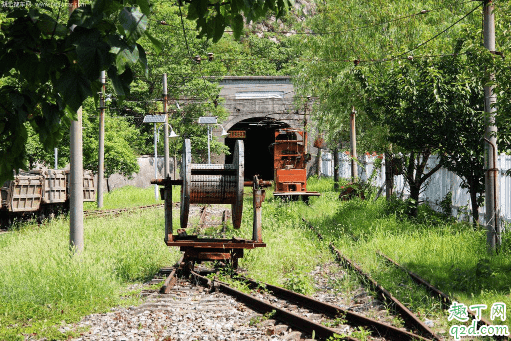 疫情期間公園開門嗎 疫情期間可以去公園嗎1