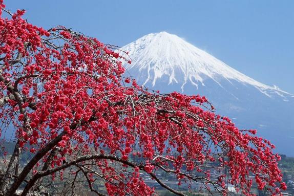 日本東京旅游攻略