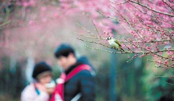 春季養生禁忌有哪些？春季健康養生別做8件事