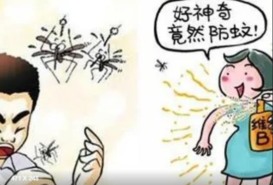 秋天的蚊子為什么比夏天的厲害？被蚊子咬了怎么止癢消腫