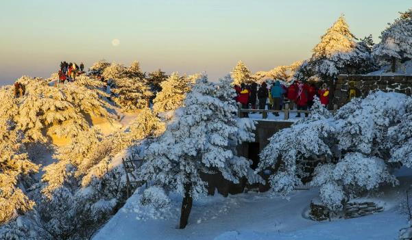 去黃山看雪景什么時間最好(十二月至二月觀冰雪之花及霧淞)