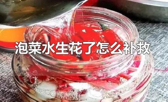 泡菜水生花了怎么補救？泡菜太酸了怎么解決