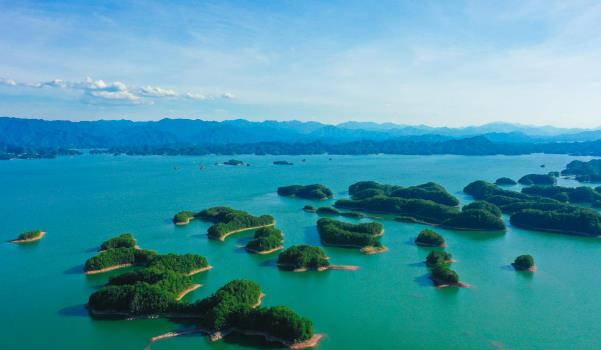 千島湖有哪些必吃的美食(千島湖魚頭、千島玉鱉、土雞煲等)